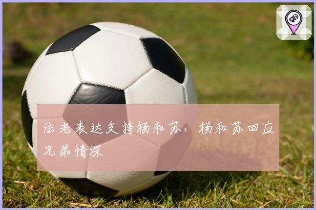 法老表达支持杨和苏，杨和苏回应兄弟情深