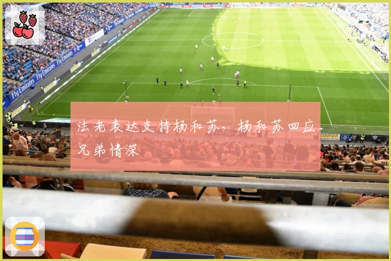 法老表达支持杨和苏，杨和苏回应兄弟情深